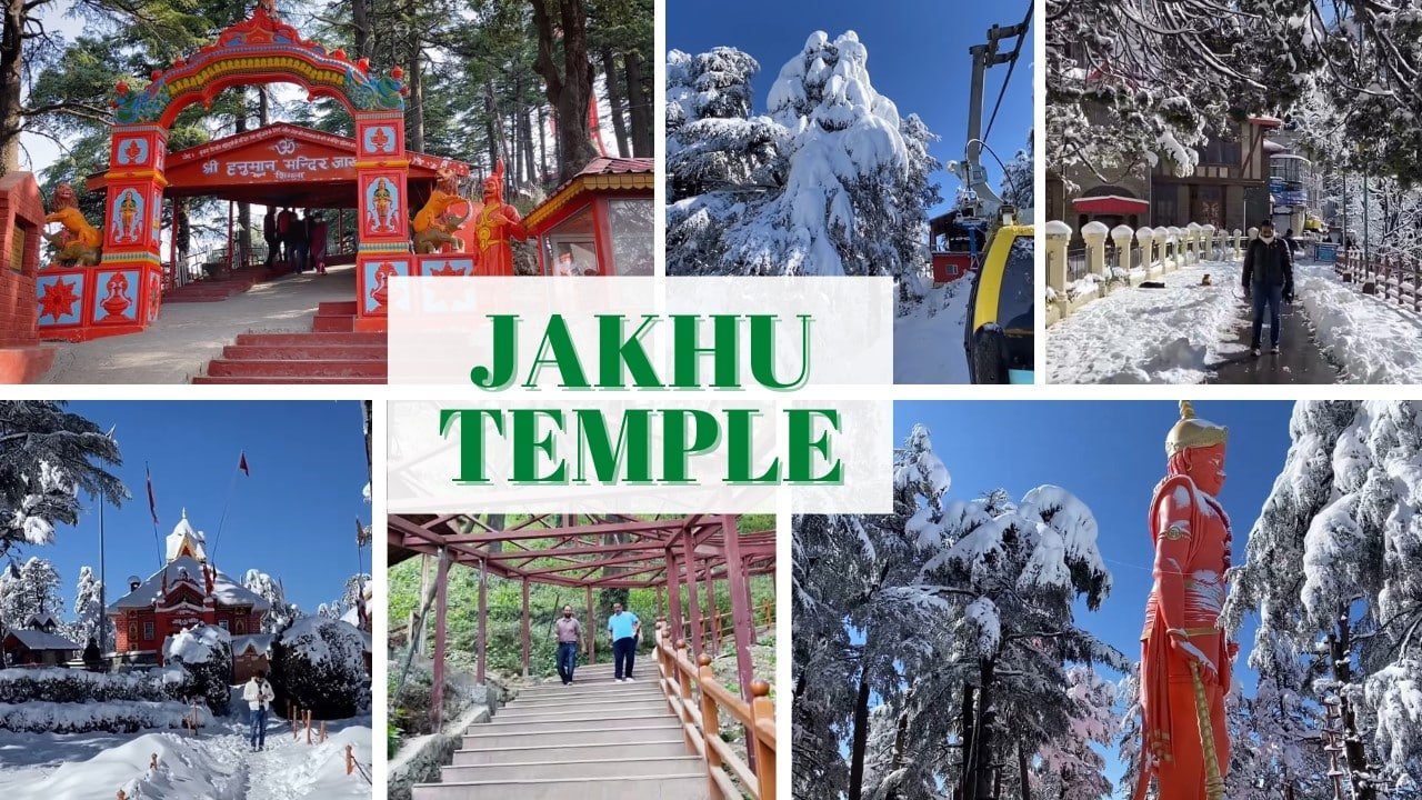 SHIMLA - KUFRI EXCURSION WITH LOCAL SIGHT SEEING
