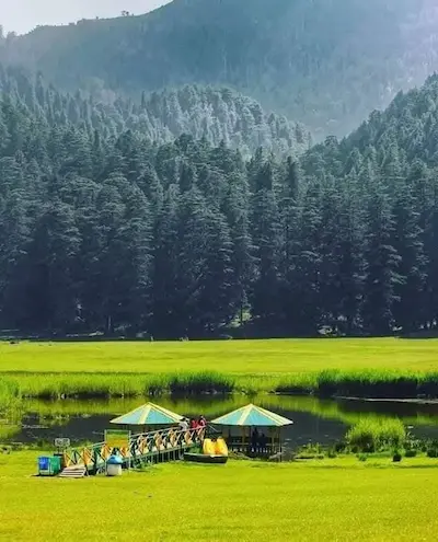 Day 08: Dalhousie local