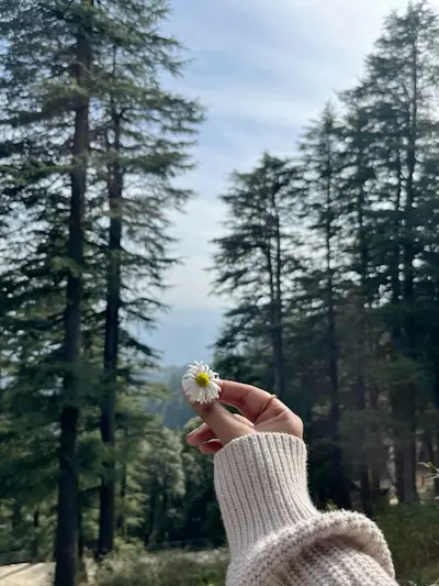 Day 05: Manali to Solang valley