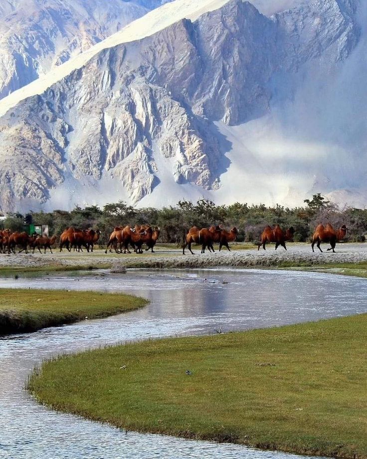 Leh - Khardung-La Pass - Nubra Valley
