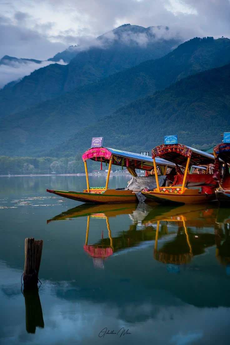 Srinagar- Arrival &amp; Day at Leisure