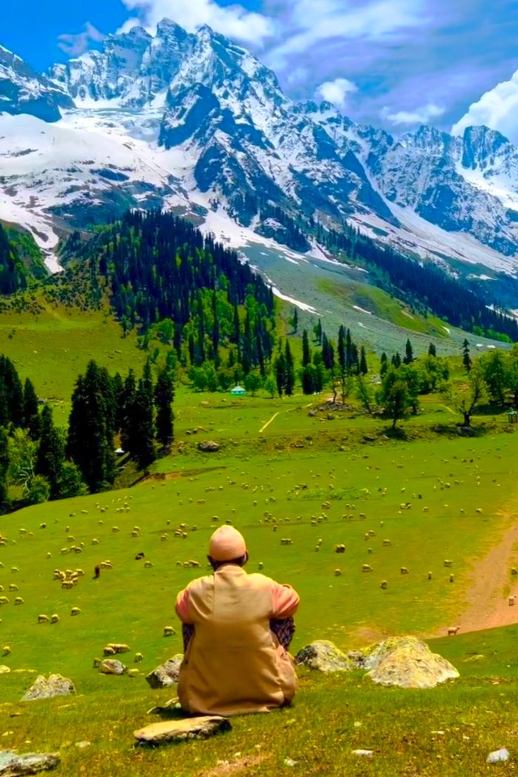 Drive from Srinagar to Pahalgam (100 km / 3 Hours)
