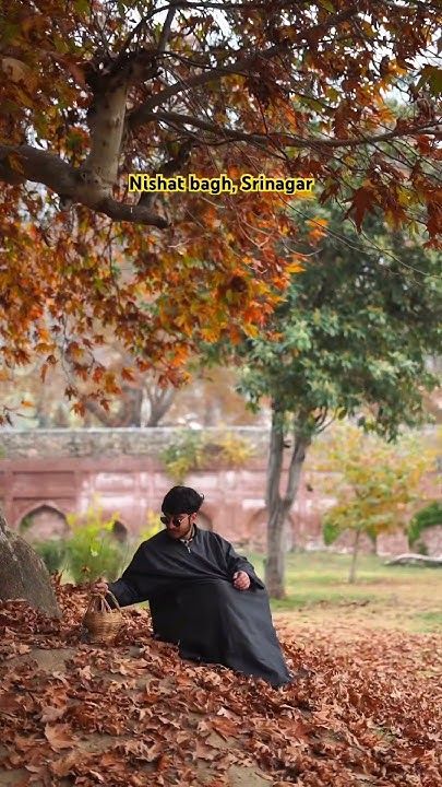Srinagar Sightseeing