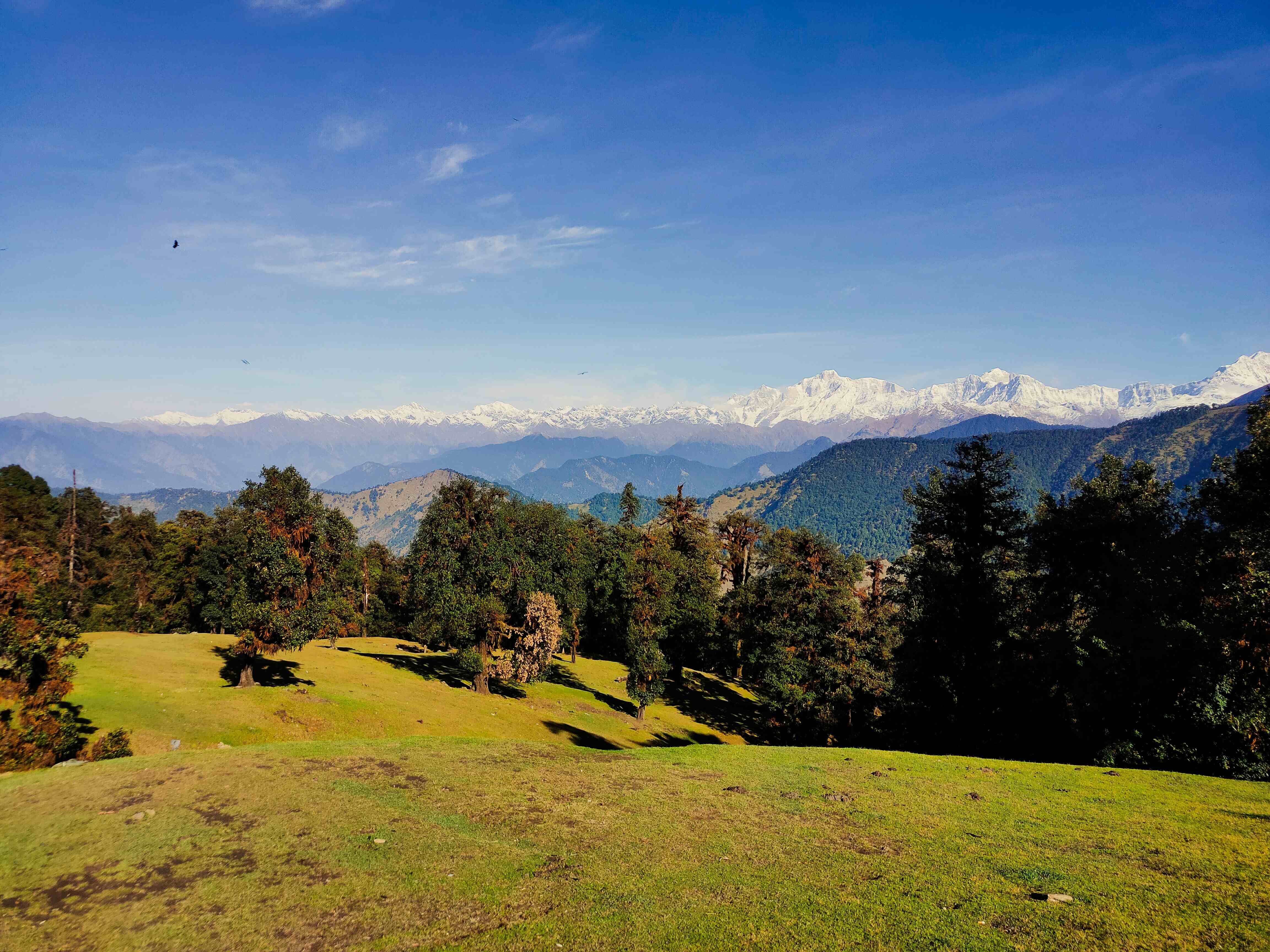 Drive to Sari village, Deoriyatal Trek, return to Rishikesh