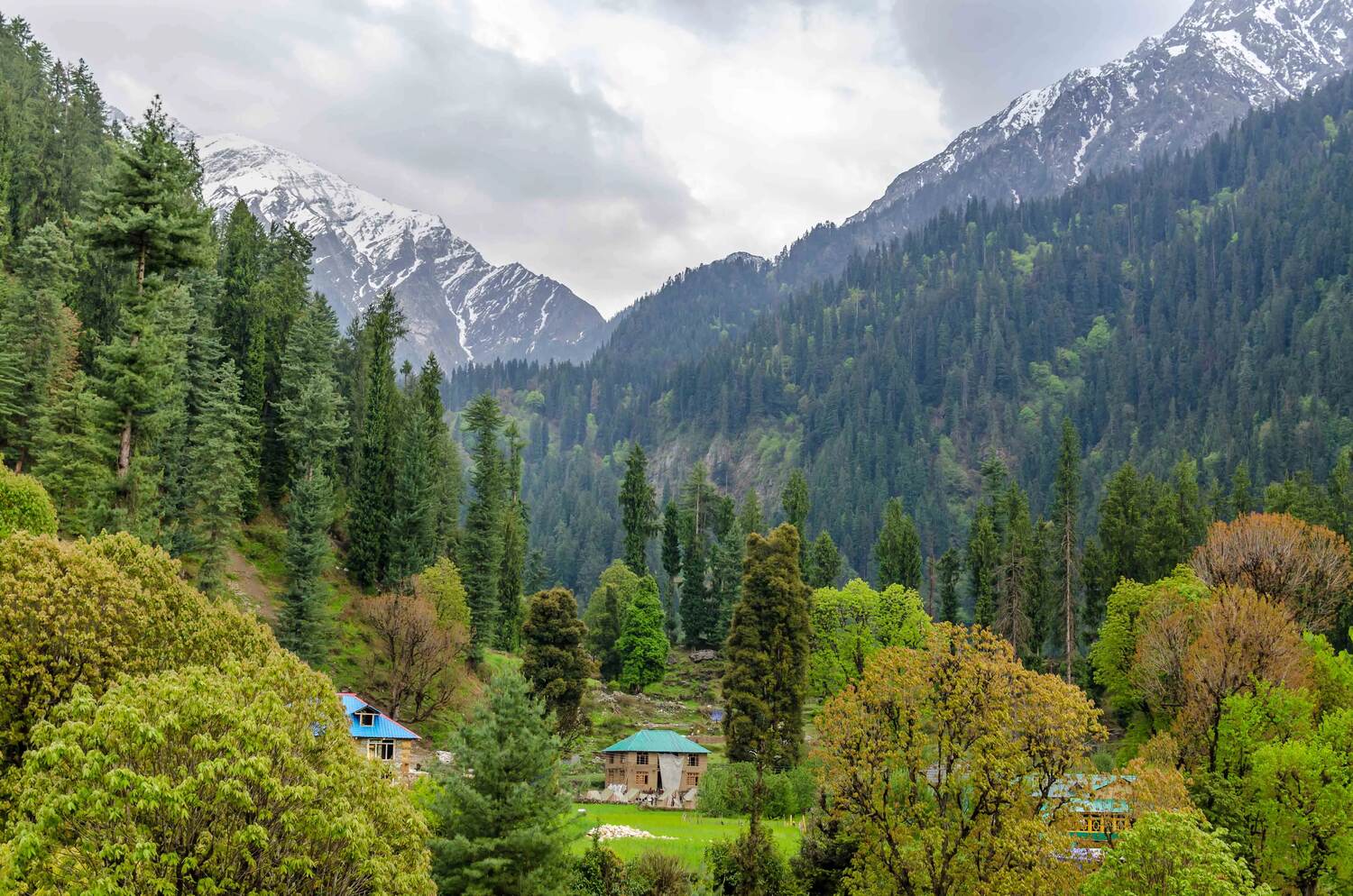Arrival in Kasol | Trek from Kasol to Grahan Village