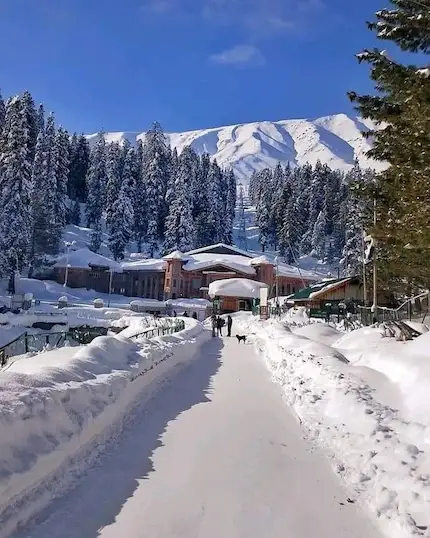 SRINAGAR 03 N + GULMARG 01 N + PAHALGAM 02 N + HOUSEBOAT 01 N  TOUR PACKAGE image