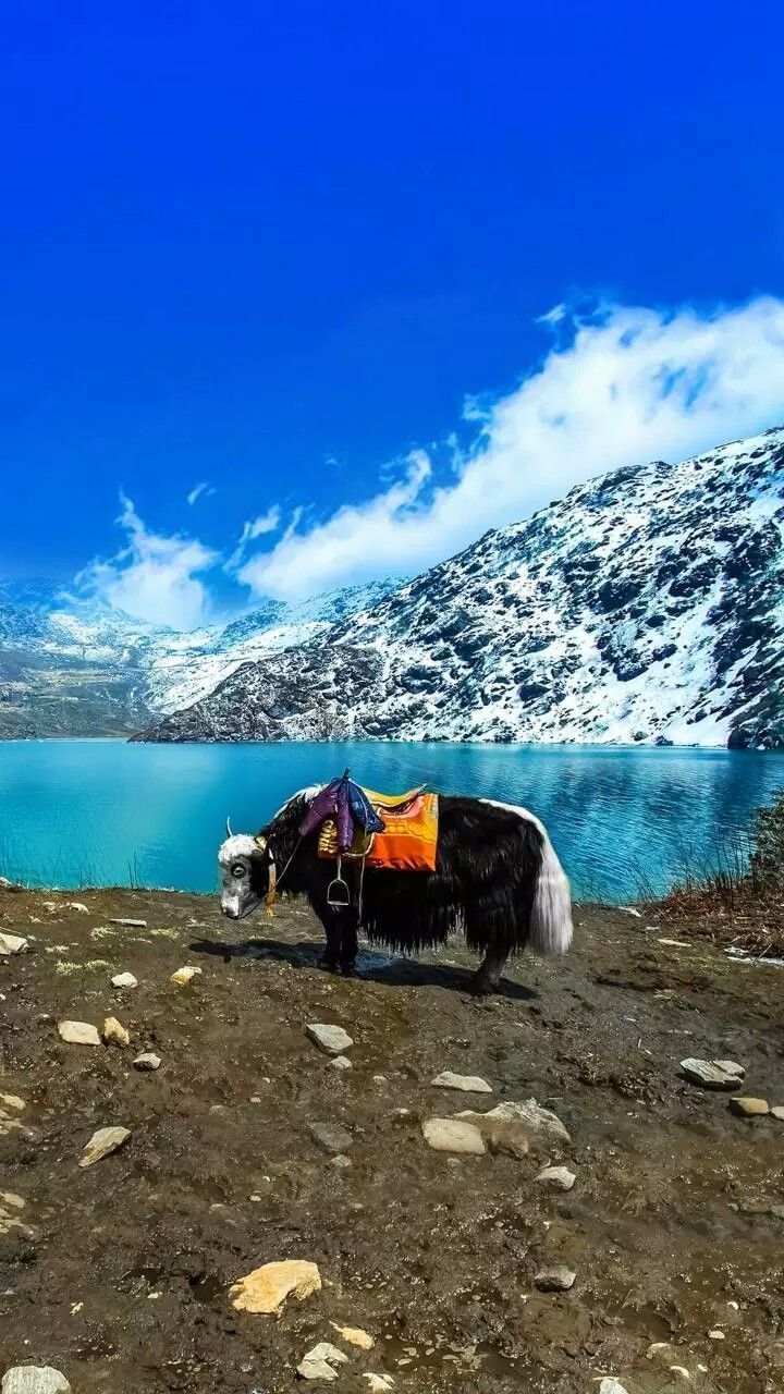 GANGTOK 02 N + PELLING 02 N + DARJEELING 02 N TOUR PACKAGE image