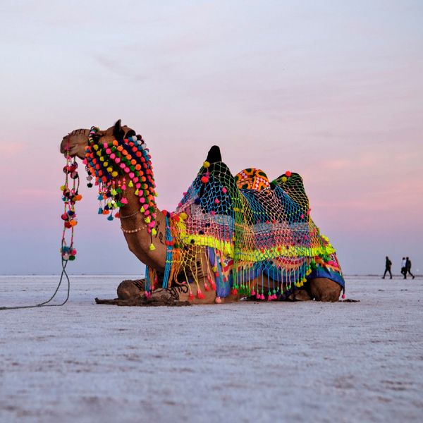 White Desert of Kutch Trip Package image