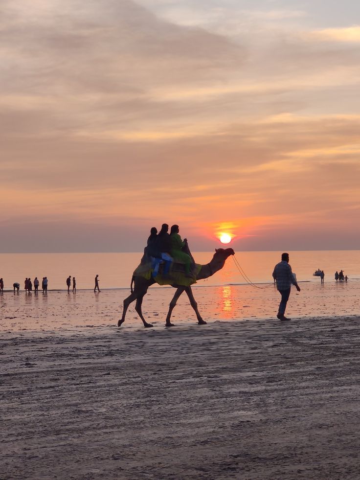 White Desert of Kutch Trip Package image