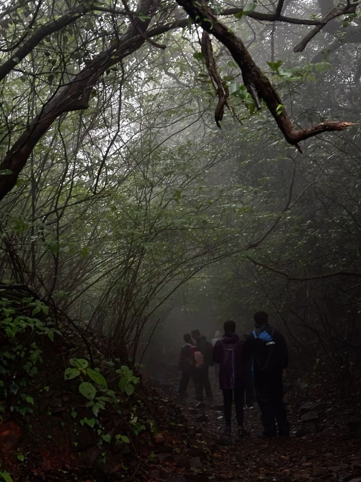 Matheran Monsoon Adventure Camp image