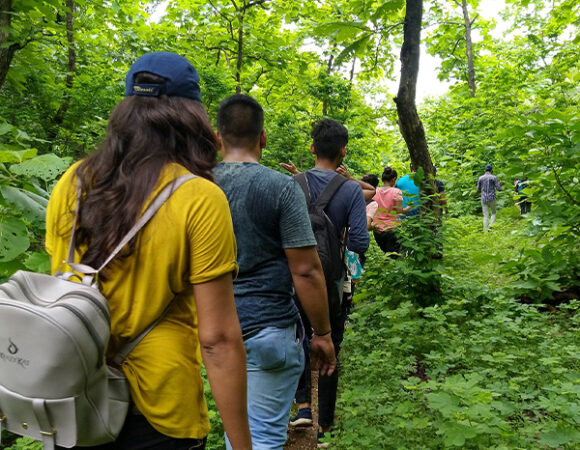 BAKOR NATURE CAMP image