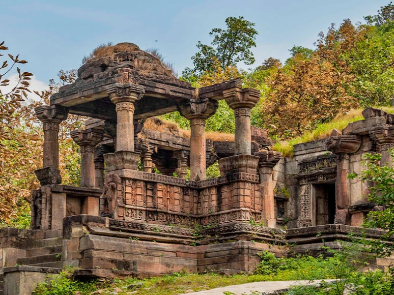 Polo Forest image