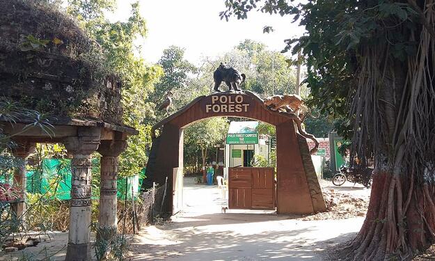 Polo Forest image