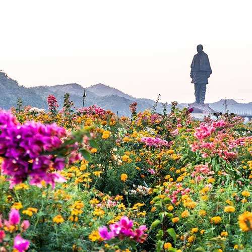 The Statue of Unity image