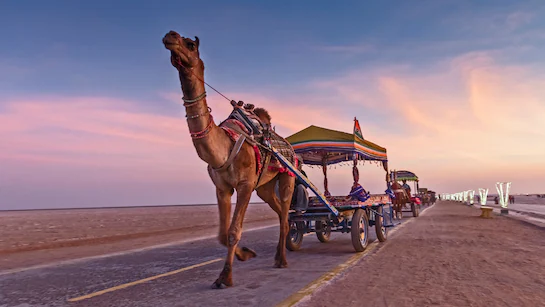 Kutch Tour Package | White Rann, Bhuj &amp; Desert Camp Stay image