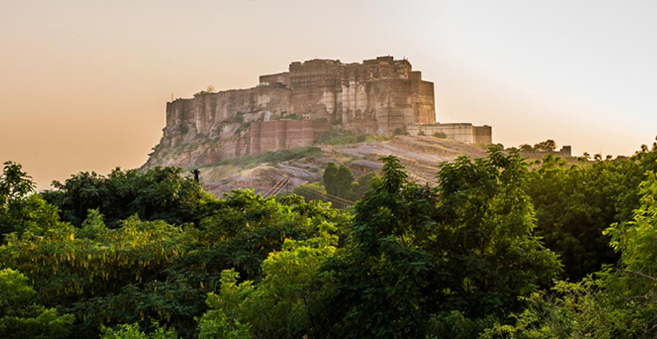 Jodhpur Jaisalmer Tour Package | Forts, Desert Safari &amp; Camping image