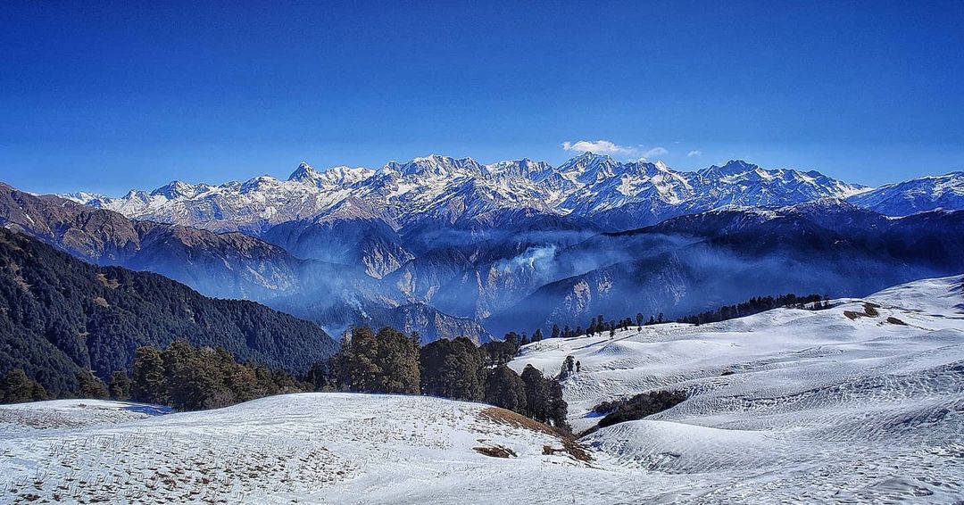 Dayara Bugyal Trek - Best Himalayan Meadow Trek image