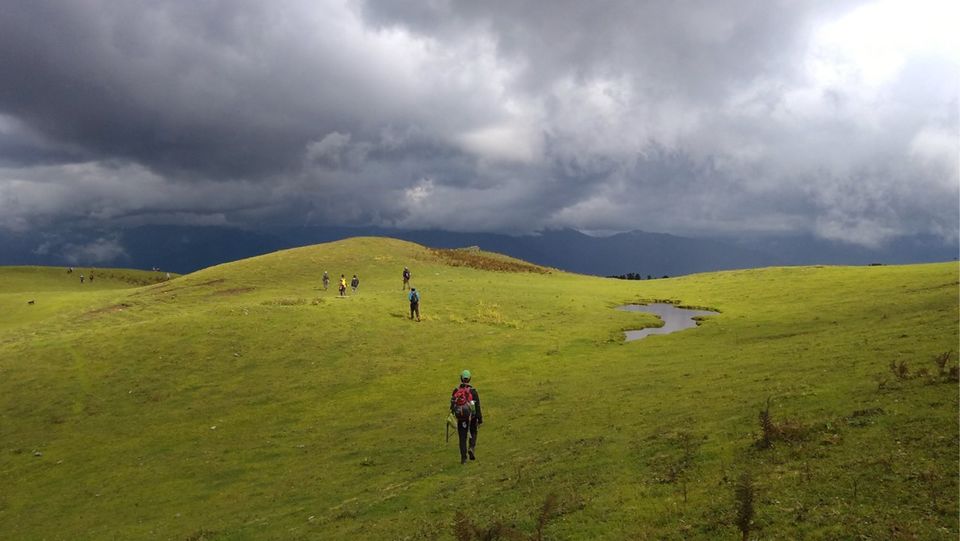 Dayara Bugyal Trek - Best Himalayan Meadow Trek image
