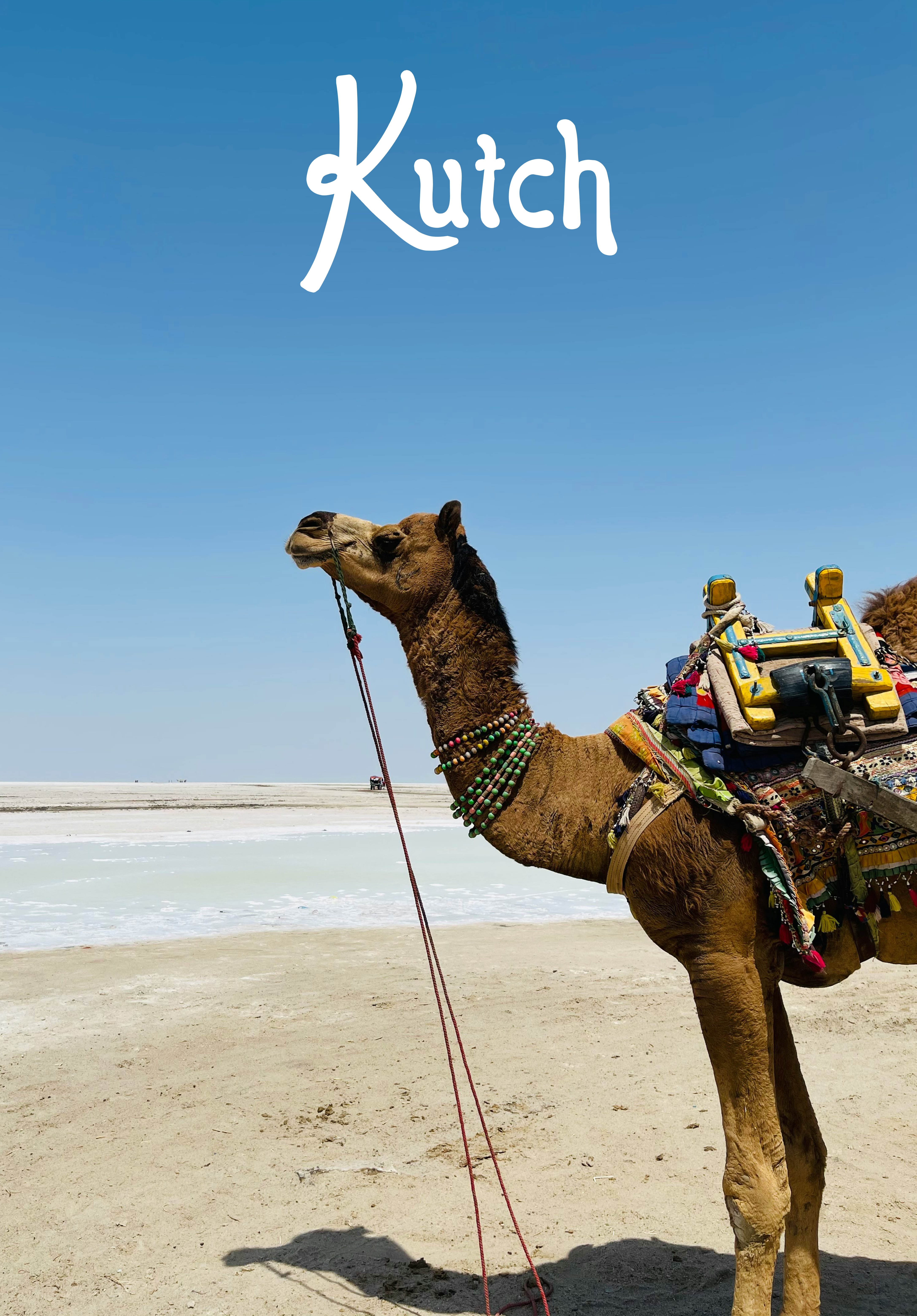 Kutch Event