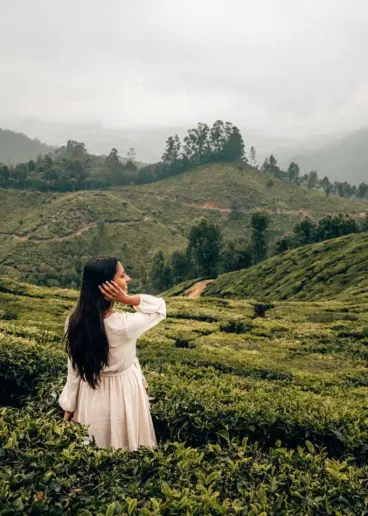 MUNNAR 02N + THEKKADY 01N + HOUSEBOAT 01N TOUR PACKAGE Event