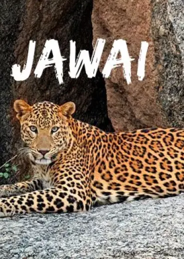 Jawai Ranakpur Udaipur Event